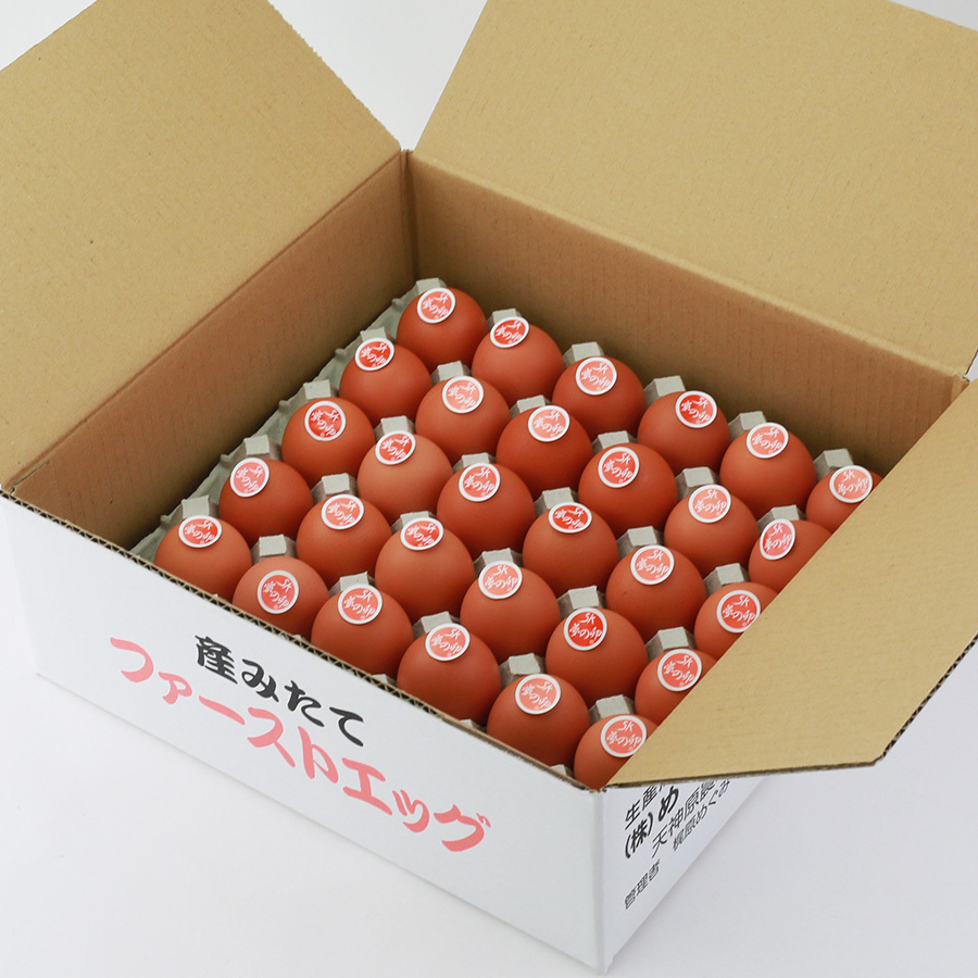 夢の卵・ファーストエッグ