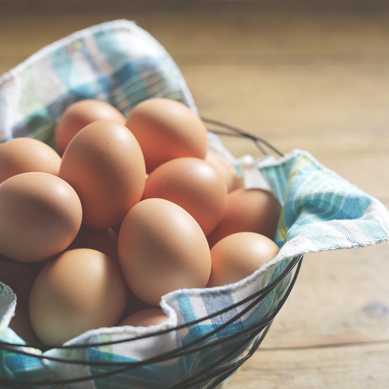 めぐみの夢の卵