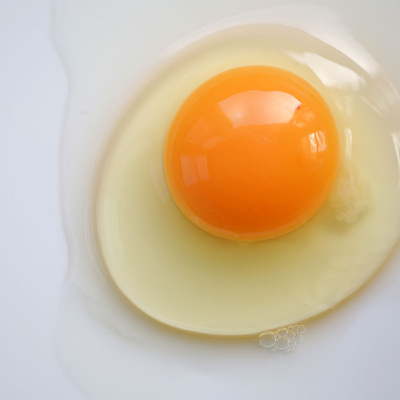 新鮮な夢の卵