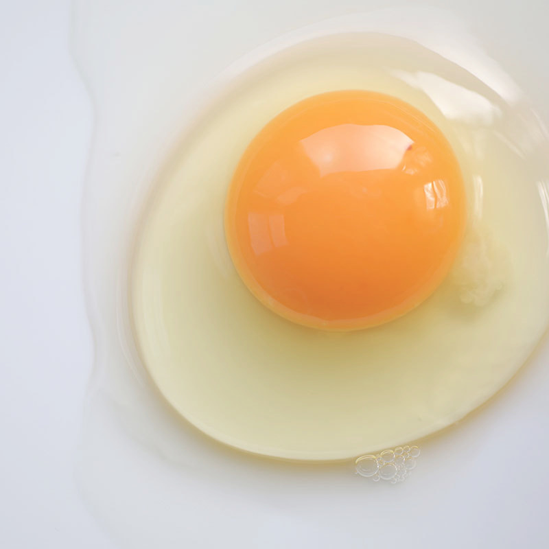 新鮮な夢の卵