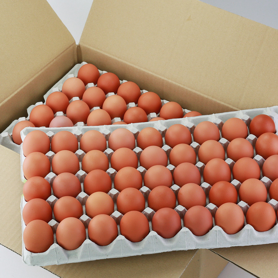 夢の卵・90個入りセット